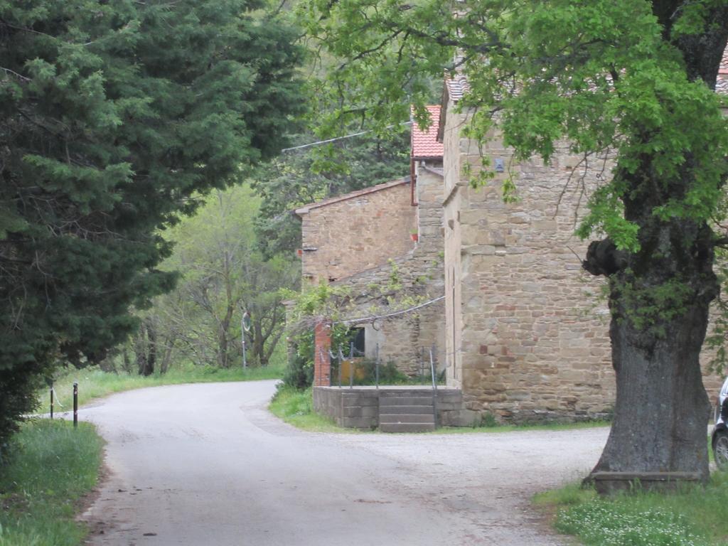 Bed And Breakfast Country Hill Ареццо Екстер'єр фото