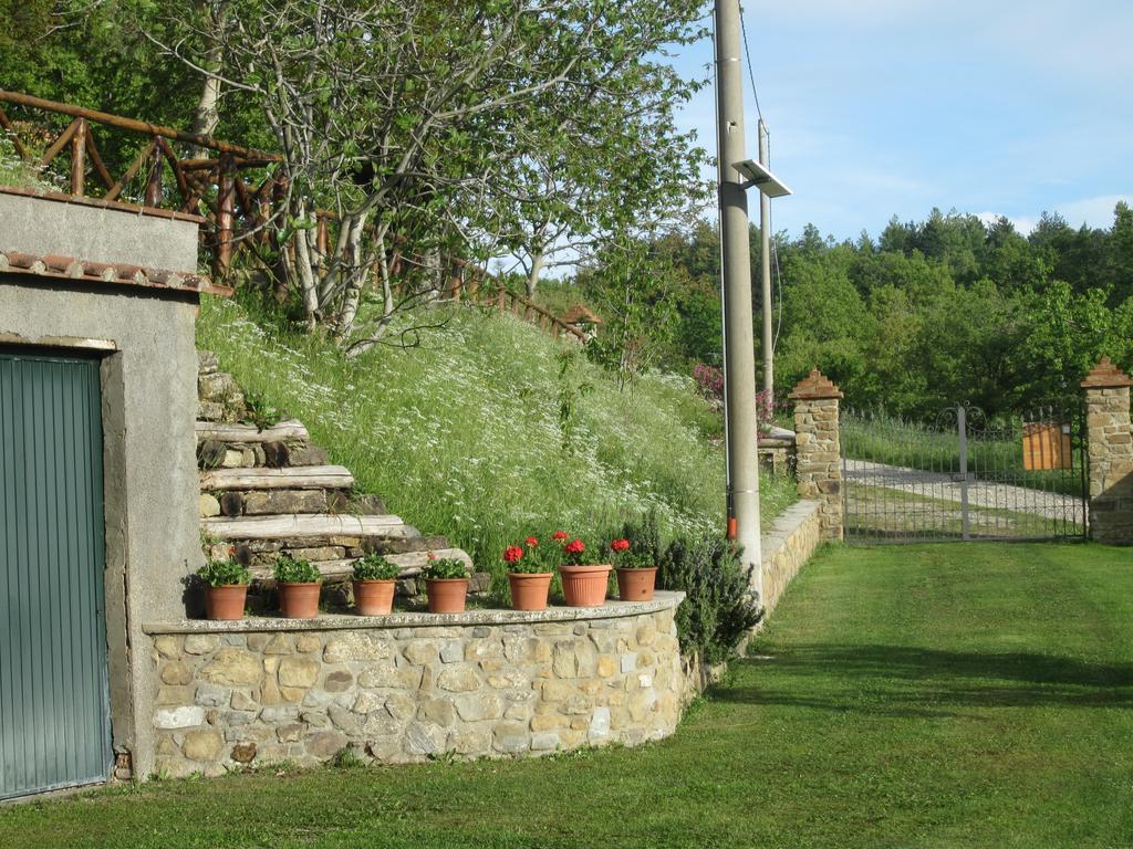 Bed And Breakfast Country Hill Ареццо Екстер'єр фото
