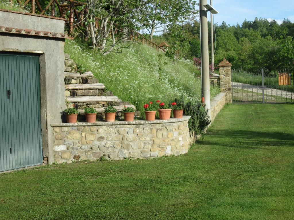 Bed And Breakfast Country Hill Ареццо Екстер'єр фото