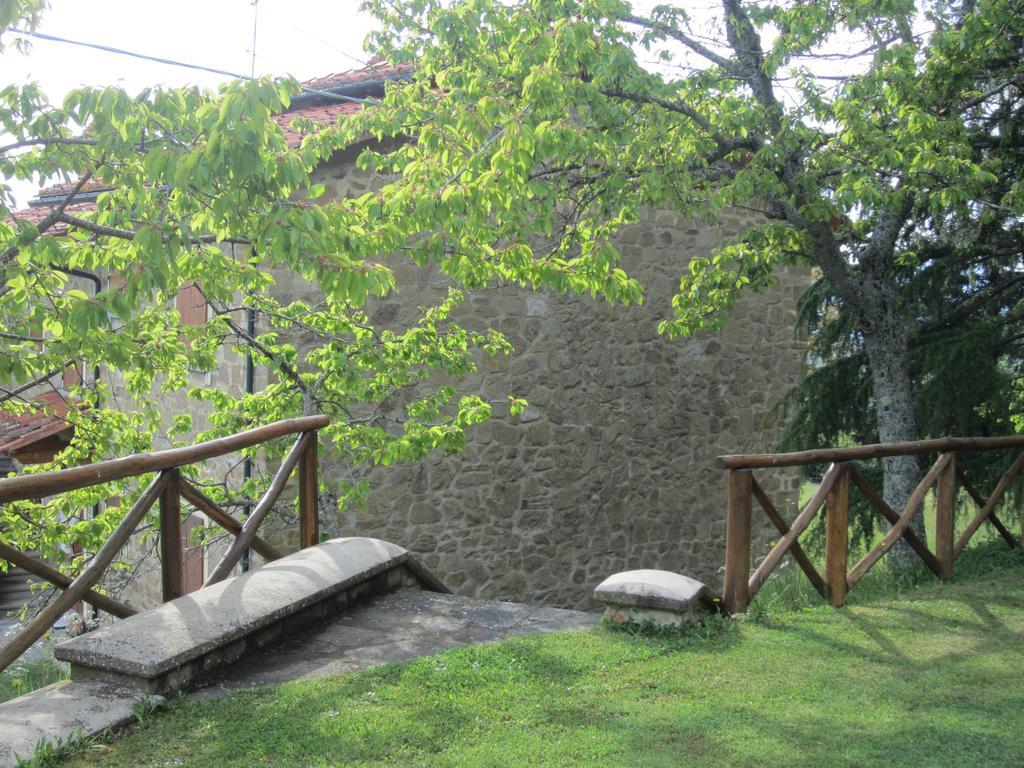 Bed And Breakfast Country Hill Ареццо Екстер'єр фото