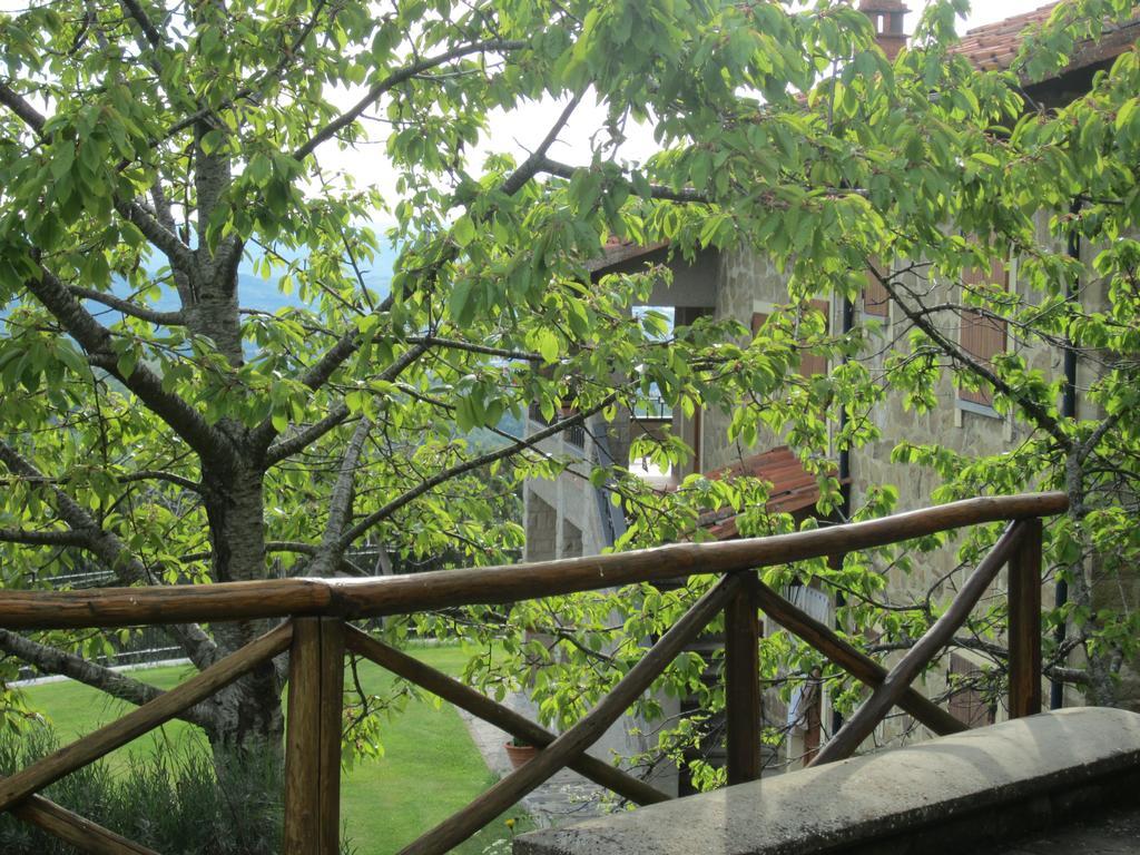 Bed And Breakfast Country Hill Ареццо Екстер'єр фото